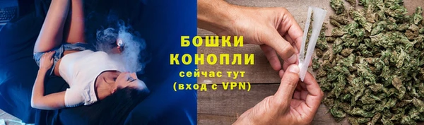 ГАЛЛЮЦИНОГЕННЫЕ ГРИБЫ Богородск