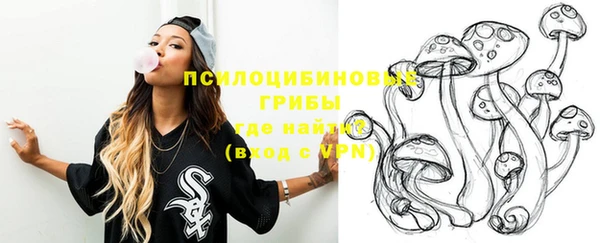 ешки Богородицк