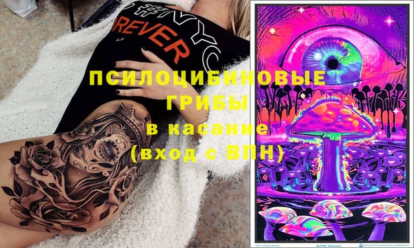 ГАЛЛЮЦИНОГЕННЫЕ ГРИБЫ Богородск