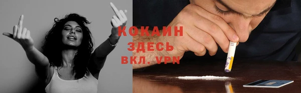ГАЛЛЮЦИНОГЕННЫЕ ГРИБЫ Богородск