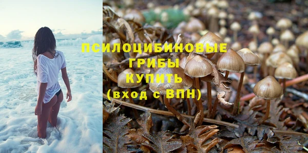 ГАЛЛЮЦИНОГЕННЫЕ ГРИБЫ Богородск