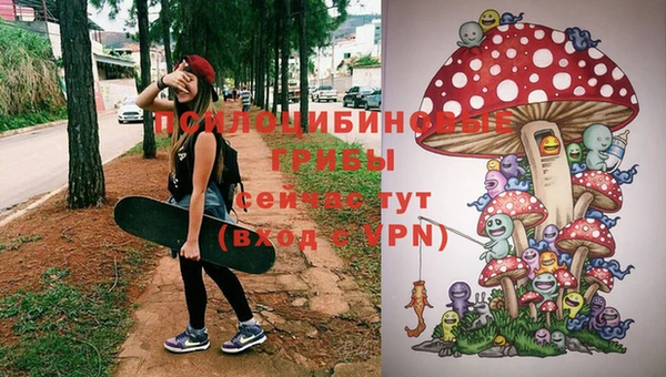 кокс Богданович