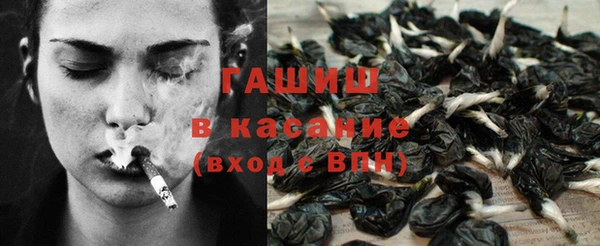 сатива Белокуриха