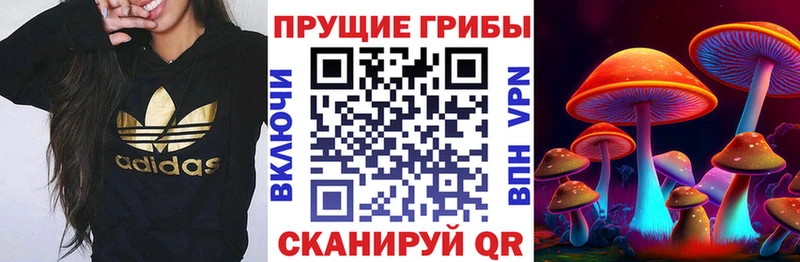 Галлюциногенные грибы MAGIC MUSHROOMS  Белоозёрский 
